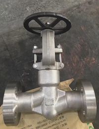 Forged valve 09