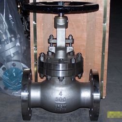 Globe valve 01