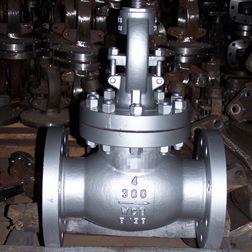 Globe valve 02